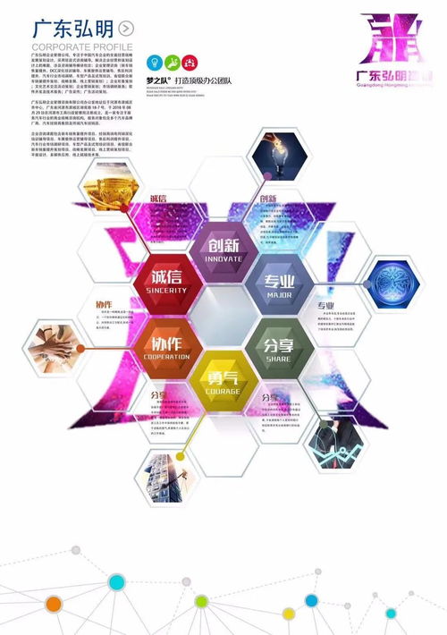 弘明咨询携手天娇集团五大一线品牌，打造跨界联动大型策划项目新标杆